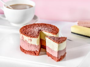 临夏哪里有正宗黄焖鸡米饭加盟 哪里有信誉好的黄焖鸡米饭加盟