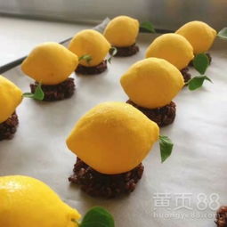 【东莞三月西点咖啡调酒培训学校,现正火热招生中!!】-