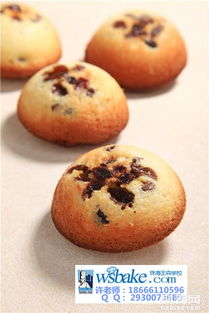 珠海王森培训学校一年烘焙西点班开课了