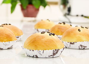 郑州新东方西点培训 烘焙培训 蛋糕培训 烘焙培训 法式甜品培训 郑州新东方西点西餐培训学校1