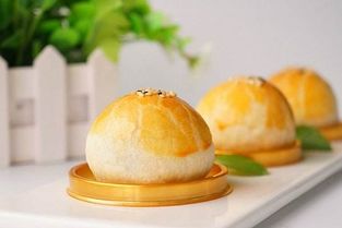 金领国际西点蛋糕培训学校