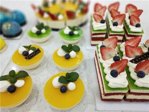 信阳西点培训学校学费及选择指南